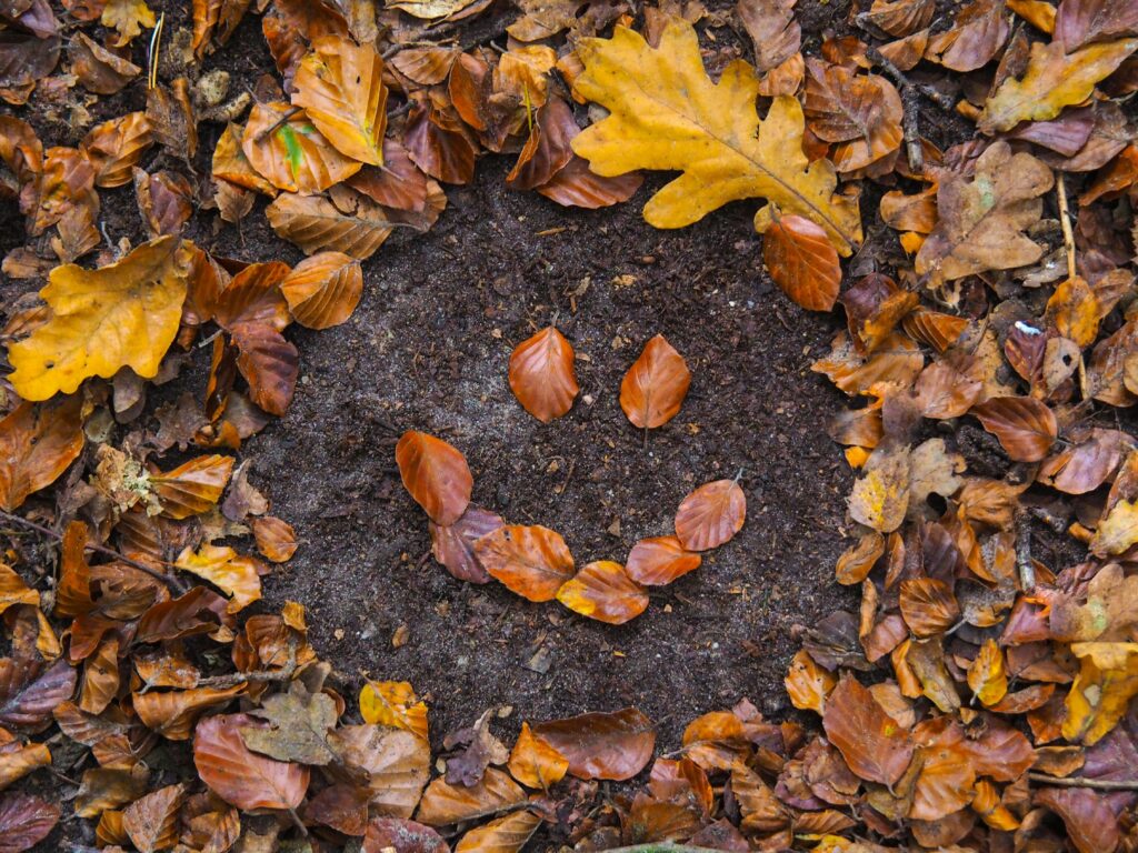 smiley avec des feuilles